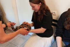 26 i 30 maja 2025 Zajęcia  edukacyjne w  w Warszawskim ZOO „Czym różni się  jaszczurka  od traszki\"