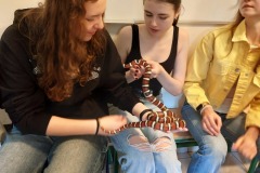 26 i 30 maja 2025 Zajęcia  edukacyjne w  w Warszawskim ZOO „Czym różni się  jaszczurka  od traszki\"